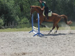 img_3596_web